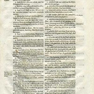 Rheims (Fulke's) - 1601 - JOHN 2:1-18