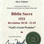 Biblia Sacra - 1531 - REVELATION 18:18-21:18