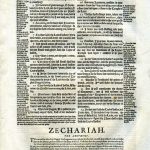 Geneva - 1595 - ZECHARIAH 1:1-2:4