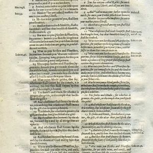 Rheims (Fulke’s) – 1601 – MATTHEW 23:6-39