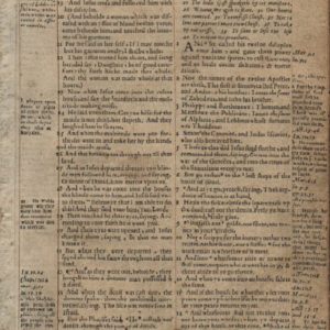 Geneva Bible – 1569 – MATTHEW 9-11