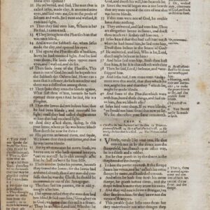 Geneva – 1576 – JOHN 8-10