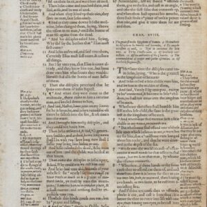 Geneva – 1576 – MATTHEW 17-19