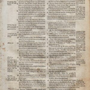 Geneva – 1576 – JOHN 5-8 – Leaf-Set