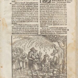 Martin Luther – 1541 – EXODUS 8-9
